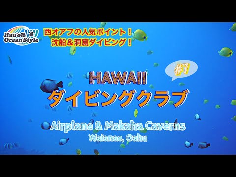 【ハワイダイビングクラブ】水深30Mに沈む飛行機と無数の洞窟でファンダイビング！Scuba Diving at Airplane and Makaha Caverns | Waianae, Oahu