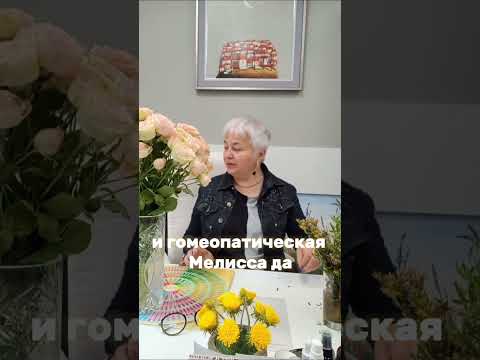 Мелисса и её полезные свойства #гомеопатия #здоровье