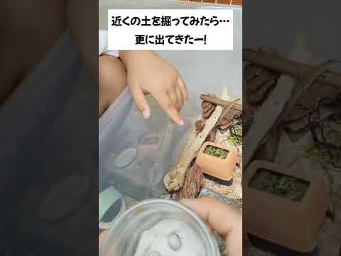 【飼育日記】ついに！ついに！ついにー！