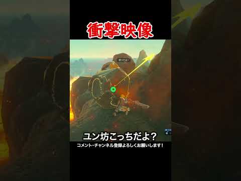 【衝撃映像】ユン坊に道開けてあげようとしたら...#ゼルダの伝説ブレスオブザワイルド  #ゲーム実況  #ゼル伝 #zelda #ゲーム #ブレワイ #ブレワイ 実況