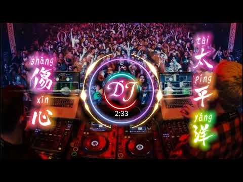 伤心太平洋2022 dj dj remix 中文舞曲