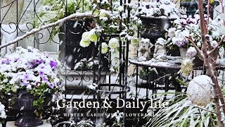 #14 Winter Container Planting / Gardening / Bulb Layering / Living with Flowers / Living with Wine