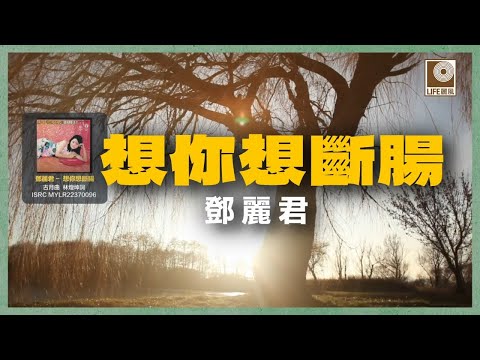 邓丽君 - 想你想斷腸(Official Lyric Video)