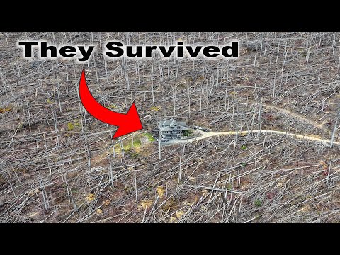 STAND TALL - Hurricane HELENE Demolishes Forest around Family in Asheville, NC