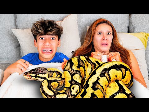 Scary Unwanted Visitors Invade Our Home  *SHOCKING* | The Royalty Family