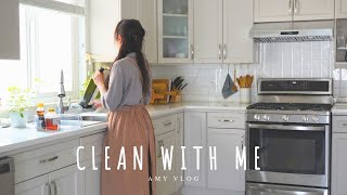 9 Ridiculously Easy Ways To Keep Your Kitchen Clean | Silent Vlog