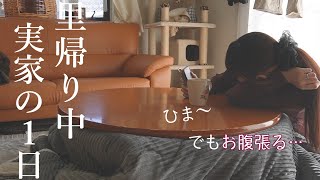 【Vlog】里帰り中 妊婦のリアルな1日【妊娠37週/正産期】