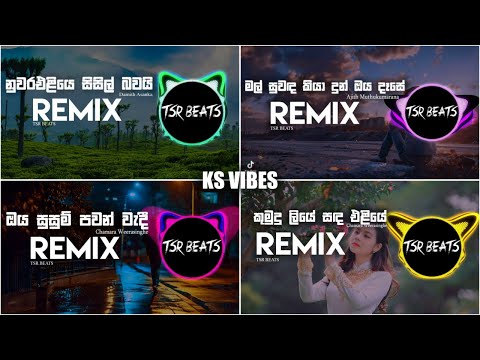 Manoparakata Sinhala Relax Remix Songs Collection | මනෝපාරකට  ( TSR BEATS )