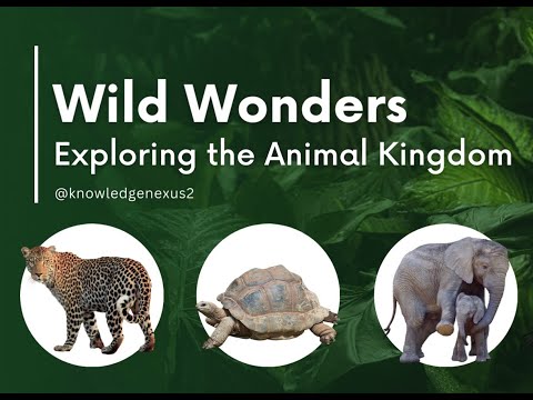 Wild Wonders: Exploring the Animal Kingdom. Wild Wonders: A Journey Through the Animal Kingdom