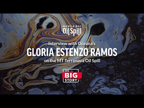 14 Aug 2024 Interview: Gloria Estenzo Ramos on the MT Terra Nova Oil Spill - The Big Story