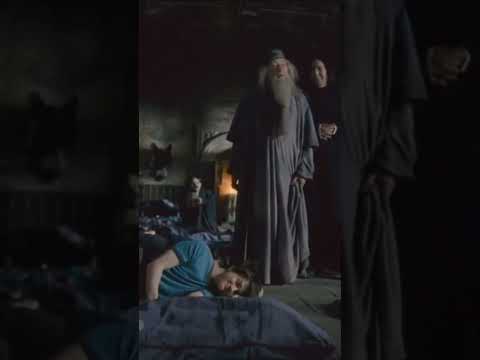 Whole video of the prank🤣 #harrypotter #potterhead #dumbledore #snape #viralvideo