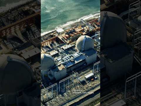 How the San Onofre Nuclear Generating Station Caused Reef Damage