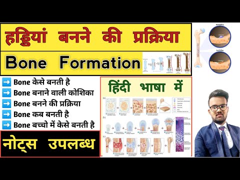 Bone Formation | Osteogenesis | Ossification | Anatomy and physiology | Anatomy Notes | Bone Notes