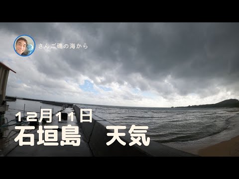 【石垣島天気】12月11日10時ごろ。15秒でわかる今日の石垣島の様子。