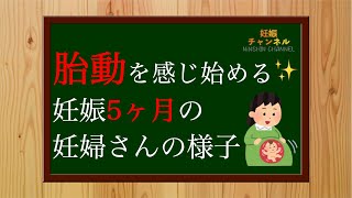 【妊娠5ヶ月】胎児の為にも鉄分を摂取しよう💪✨妊娠5ヶ月妊婦さんの様子