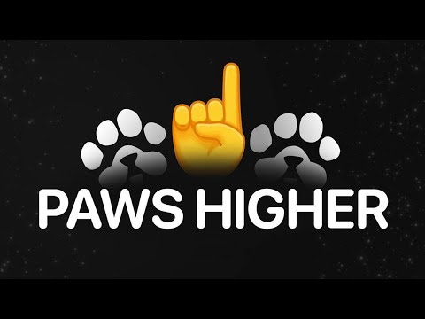 Solved Paws Puzzle || 1 Dec. 7,000 Mystery Paws Quest | Do This