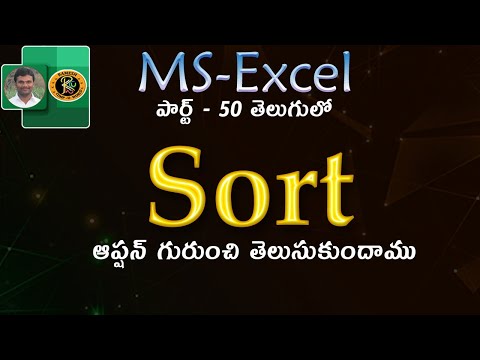 Sort Option in Telugu || MS EXCEL || By K. Ramesh