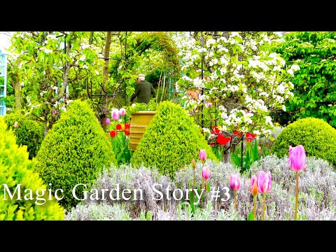 An Artist Walled Garden tour & story, UK, Spring | Gardening in Scotland|Private Cottage