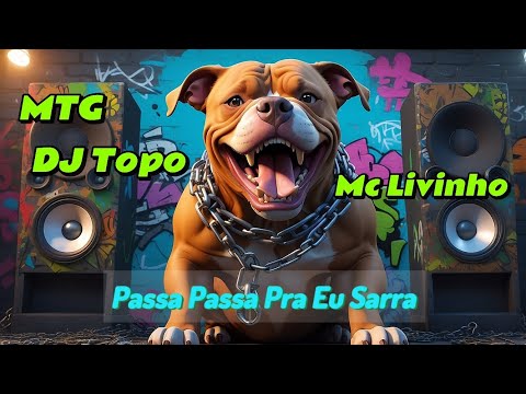 MTG PASSA PASSA PRA EU SARRAR _Mc Livinho, DJ TOPO #djtopo #mclivinho