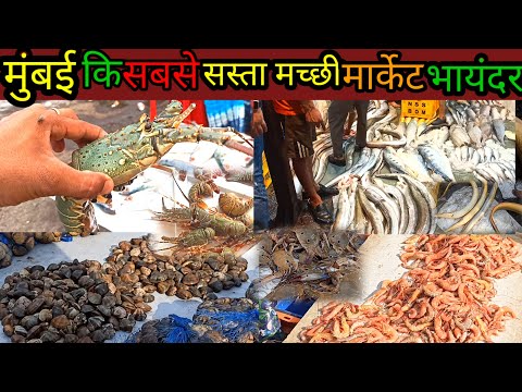 मुंबई की सबसे सस्ता मछली मार्केट।। Mumbai fish market Bhayandar।। Maharashtra Mumbai fish market।।