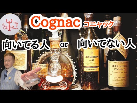 [Cognac コニャック]向いてる人or向いてない人