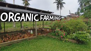 How to Start an Organic Farming Business | Things to Consider Before Starting a Farm 🌸🌱