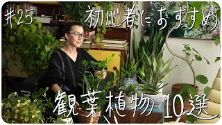 #25 初心者におすすめ 観葉植物10選 〜10 Easy Houseplants for Beginners〜