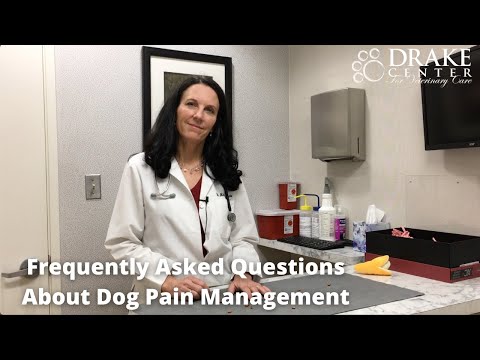 Frequently Asked Questions About Dog Pain Management