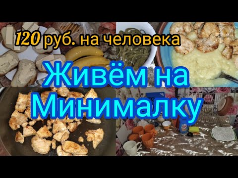 Живём на минималку. 120 рублей на человека.