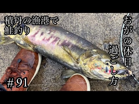 オガの休日過ごし方#91積丹の漁港で鮭釣り