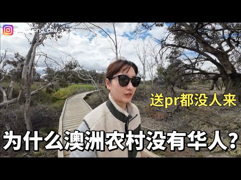 为什么澳洲农村几乎看不到华人？送pr都没人来！DJI action3🎬测试