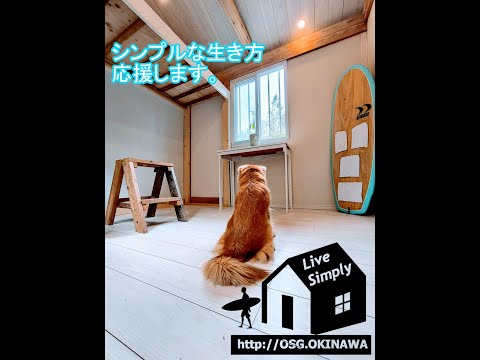 沖縄でタイニーハウスDIY Part 9. 最終「完成」