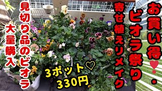 見切り品の大量ビオラの寄せ植えリメイク