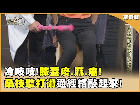 「桑枝棒擊打術」暢通經絡!冷吱吱!護膝解痛敲起來! 【聚焦2.0】第561集