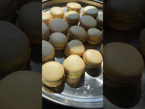 Final stage of making Macrons | Part 4