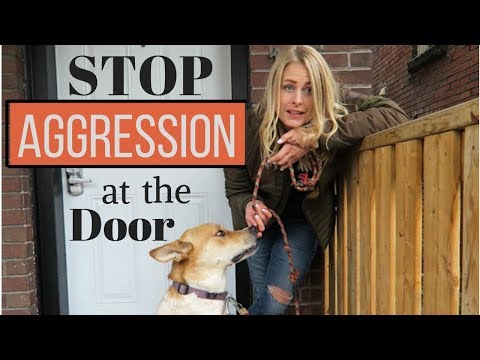 How to Enter the HOME of an 'AGGRESSIVE DOG'