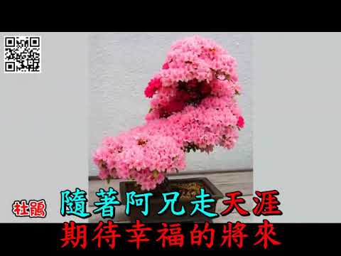 流浪天涯三兄妹-洪第七(台卡拉版4)