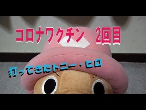 【ちょっとネタ】　コロナワクチンを打ってきたよ