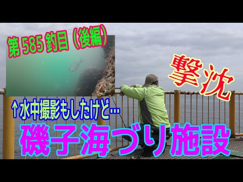 釣り動画ロマンを求めて 585釣目 後編（磯子海づり施設）