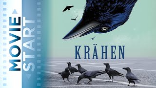 KRÄHEN - Die Natur beobachtet uns - Ein Naturfilm von Martin Schilt