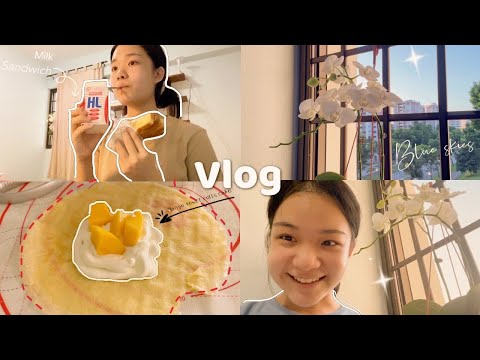 Vlog🥞/what a college student does on weekends/no class🌼 making no baked  TOWEL ROLLS cake/Study&Eat