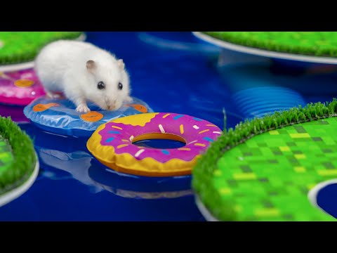 Hamster Escapes from the Minecraft Prison Maze water park maze with real water!