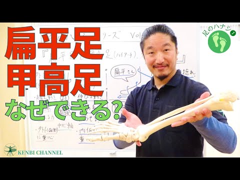 【扁平足と甲高足】扁平足や甲高足になる”原因”を知っていますか？