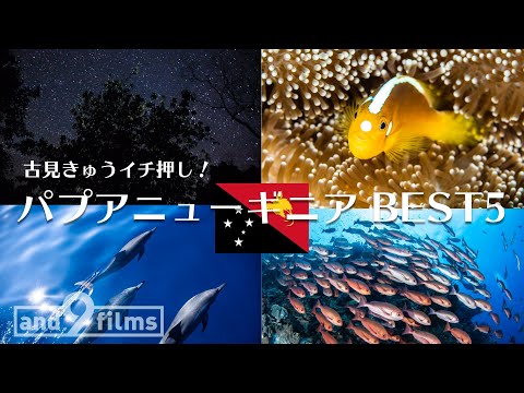 古見きゅうイチ押しパプアニューギニアの見所BEST5！絶景のサンゴ礁から変な生き物まで！