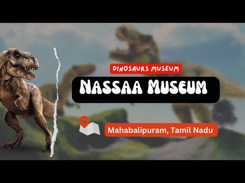 Nassaa Museum (Dinosaurs Museum) - Mahabalipuram Walk thru