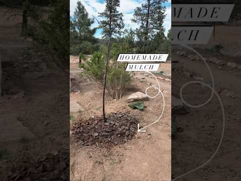 Eco-Friendly Gardening: Make Your Own Mulch from Downed Trees | #shorts  #gardening