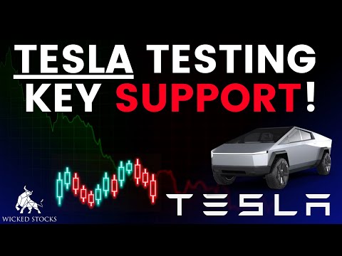 Tesla Stock Price Analysis | Top Levels To Watch for December 30th, 2024