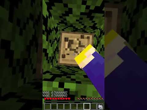 Can you beat Minecraft falling in an endless loop?