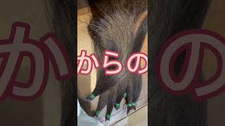 【182回】【ヘアドネーション】✖️【髪質改善パーマ】✖️【似合わせカット】