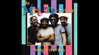 The Meters - I Need More Time